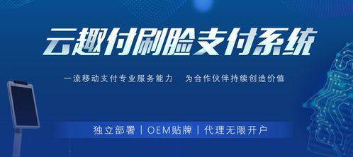 聚合支付是什么 聚合支付服務商怎么做